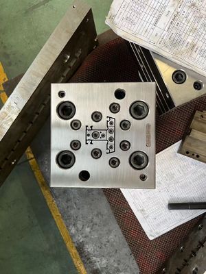 Extrusion Mould for Two Cavities Plastic Foaming Die and Extrusion Profile Shaping Tool