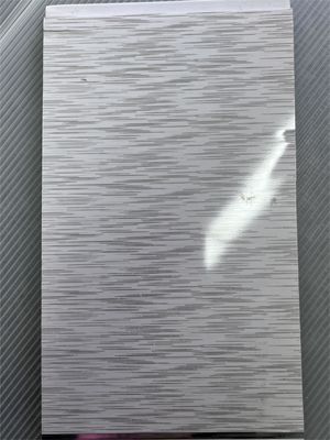 Co-Extrusion Wallboard Asa Pc Pe Upvc Profile Extrusion Die Mold Moulds in Silver PVC