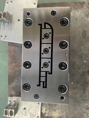 Electroplating Polishing Surface Treatment WPC Extrusion Mould for OEM WPC Door Frame
