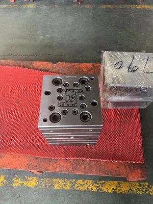 Mould Cavity 1 PVC Window and Door Profile Extrusion Mold/Plastic Extruder Machine