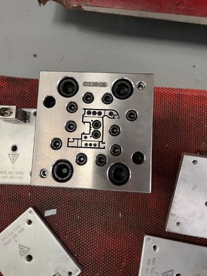UPVC Extrusion Moulding Plastic Extrusion Mold for Window Sash and Profile Windows