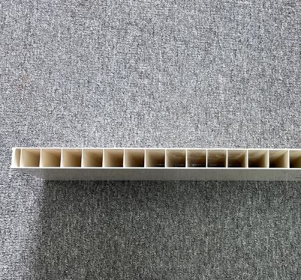 PVC Hollow Panel Extrusion Mould/ Upvc Window Making Machine Plastic with 1 Cavity